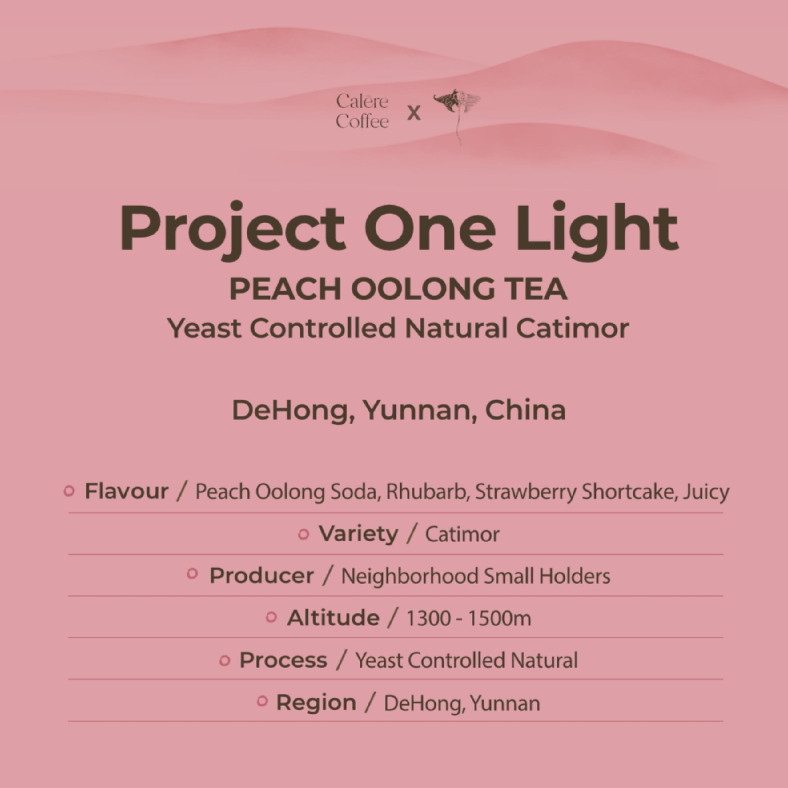 china-yunnan-project-one-light-yeast-controlled-natural-catimor-by